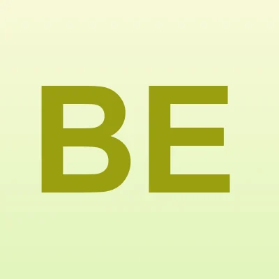 Beste Erdem