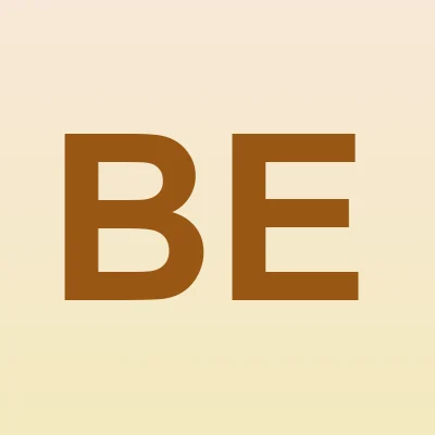 Beste Erdem